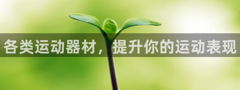 意昂体育3平台是正规平台吗安全吗：各类运动器材，提升