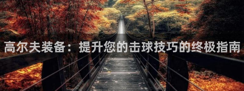 意昂体育3软件：高尔夫装备：提升您的击球技巧的终极指