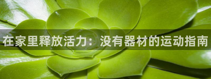 意昂3集团官网首页网址：在家里释放活力：没有器材的运