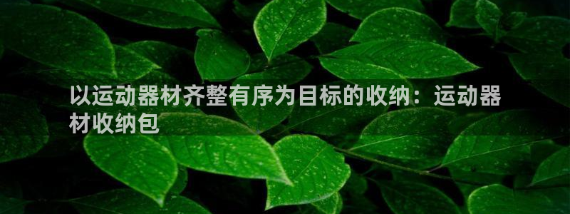 意昂体育3开户：以运动器材齐整有序为目标的收纳：运动