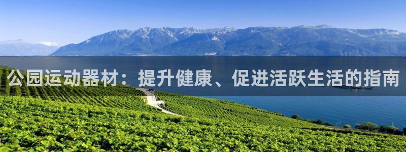意昂体育3娱乐：公园运动器材：提升健康、促进活跃生活