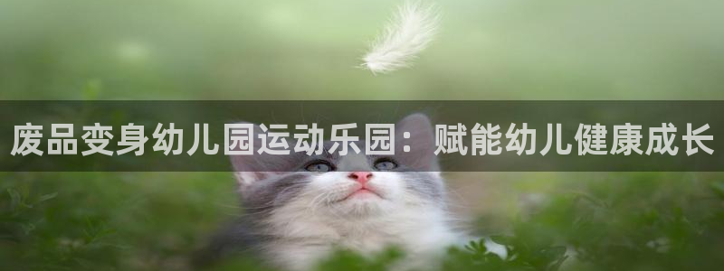 意昂3娱乐是那个系列的台子：废品变身幼儿园运动乐园：