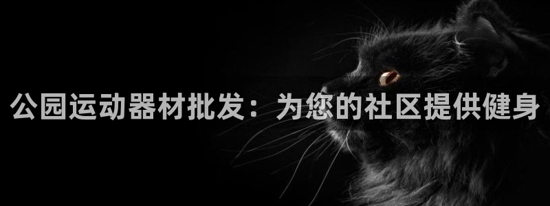 意昂3娱乐首页官网下载：公园运动器材批发：为您的社区