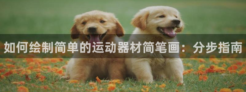 注册意昂3：如何绘制简单的运动器材简笔画：分步指南