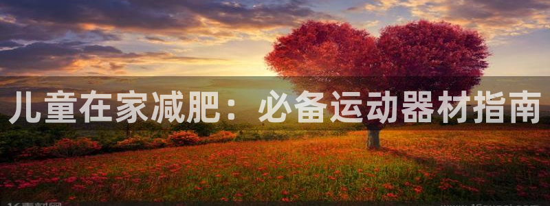 意昂3五金厂：儿童在家减肥：必备运动器材指南
