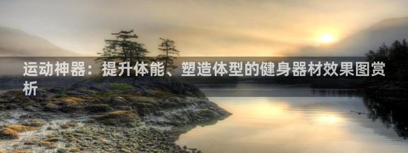 意昂3娱乐：运动神器：提升体能、塑造体型的健身器材效