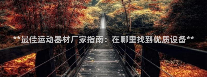 意昂3娱乐下载：**最佳运动器材厂家指南：在哪里找到