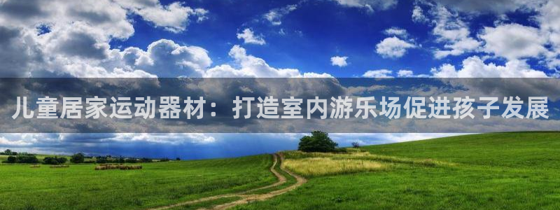意昂3新能源：儿童居家运动器材：打造室内游乐场促进孩