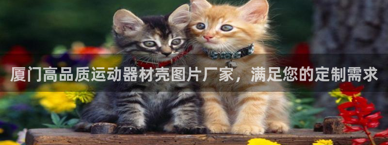 意昂体育3招商：厦门高品质运动器材壳图片厂家，满足您
