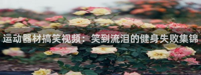 意昂3娱乐40996：运动器材搞笑视频：笑到流泪的健