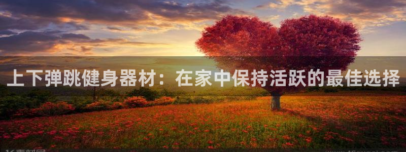 意昂3娱乐平台：上下弹跳健身器材：在家中保持活跃的最