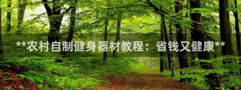 海南意昂体育3：**农村自制健身器材教程：省钱又健康