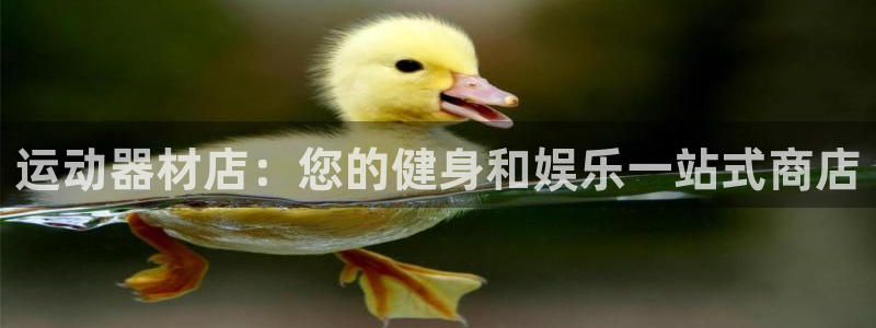 意昂3娱乐平台：运动器材店：您的健身和娱乐一站式商店