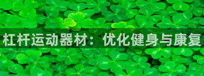 意昂体育3平台注册要钱吗是真的吗：杠杆运动器材：优化