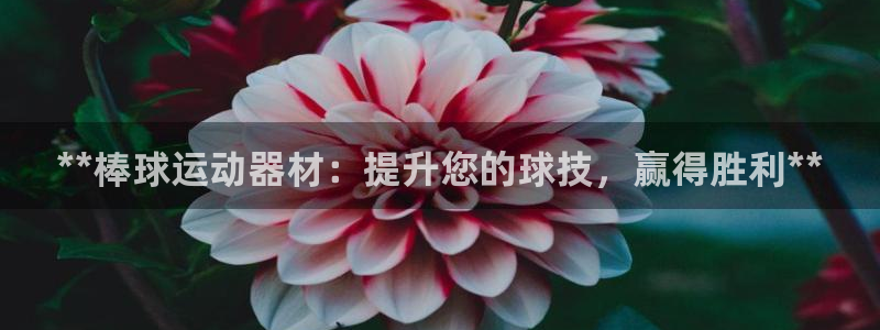 意昂3娱乐代理怎么样：**棒球运动器材：提升您的球技