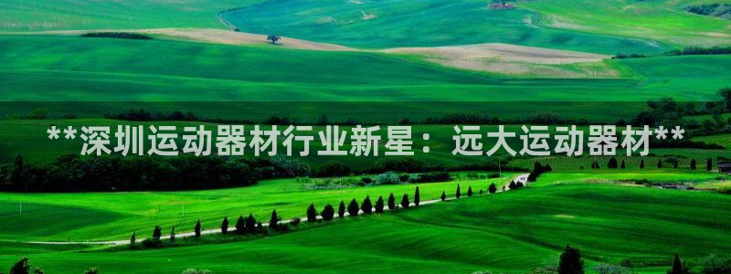 意昂体育3招商电话地址：**深圳运动器材行业新星：远