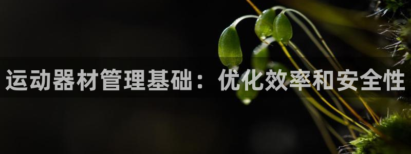 意昂3官方：运动器材管理基础：优化效率和安全性