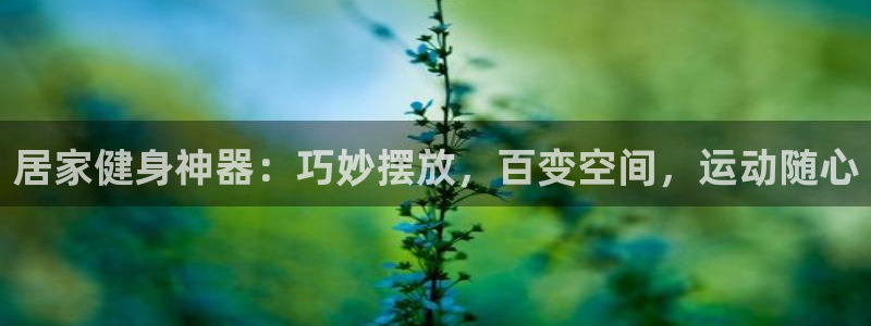意昂3娱乐首页官网下载：居家健身神器：巧妙摆放，百变