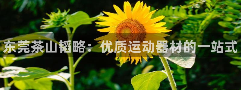 意昂体育3招商电话号码查询是多少：东莞茶山韬略：优质