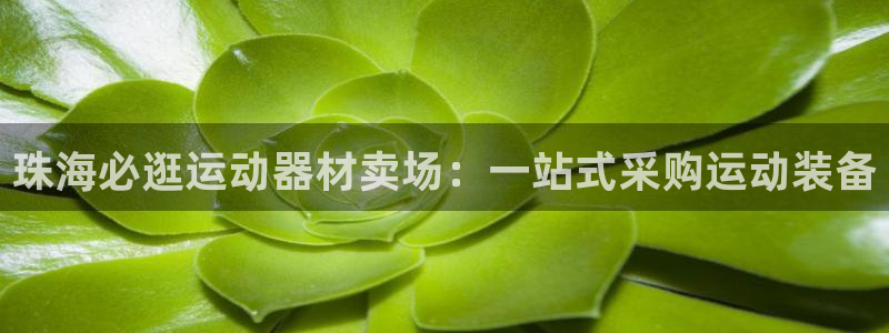 意昂体育3平台注册要钱吗：珠海必逛运动器材卖场：一站