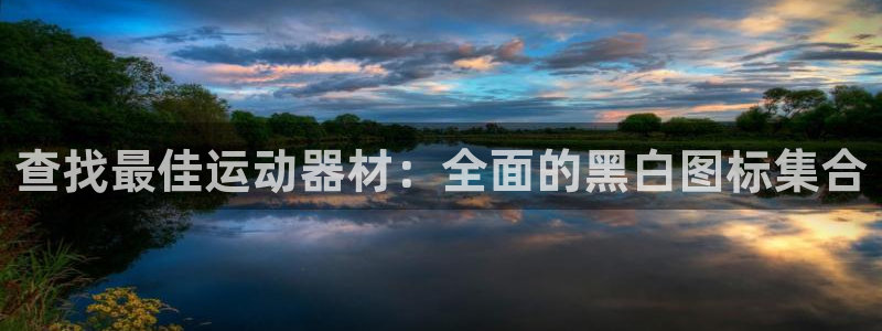 意昂体育3注册：查找最佳运动器材：全面的黑白图标集合