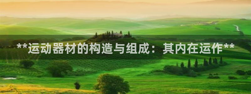 意昂3科技：**运动器材的构造与组成：其内在运作**