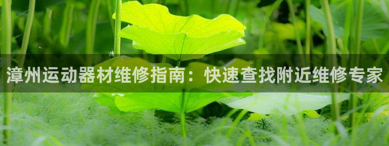 意昂3官方：漳州运动器材维修指南：快速查找附近维修专