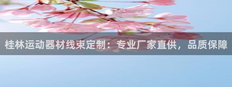 意昂体育3招商电话是多少啊：桂林运动器材线束定制：专
