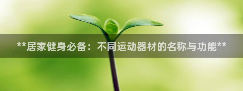 意昂体育3平台注册流程视频：**居家健身必备：不同运