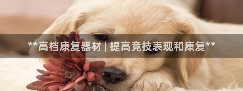 意昂体育3招商电话号码：**高档康复器材 | 提高竞