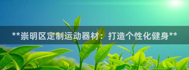 意昂体育3平台假的吗是真的吗吗：**崇明区定制运动器