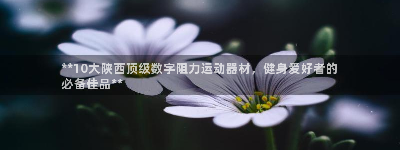 意昂体育3软件：**10大陕西顶级数字阻力运动器材，