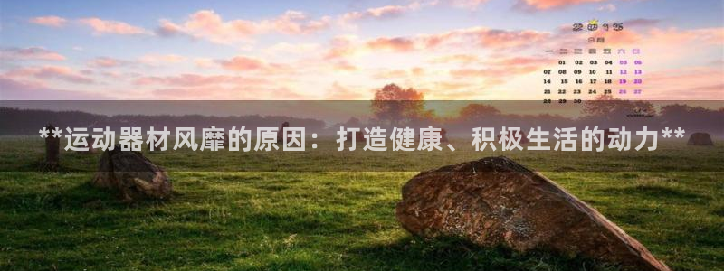 意昂3娱乐网站：**运动器材风靡的原因：打造健康、积