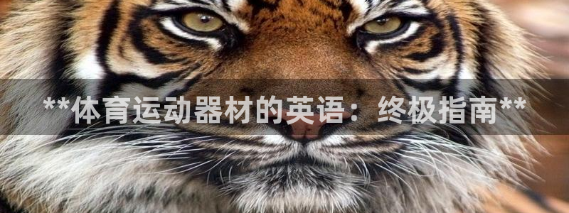 意昂体育3平台注册流程图：**体育运动器材的英语：终