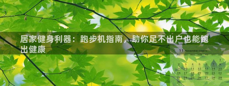 意昂体育3平台注册流程图：居家健身利器：跑步机指南，