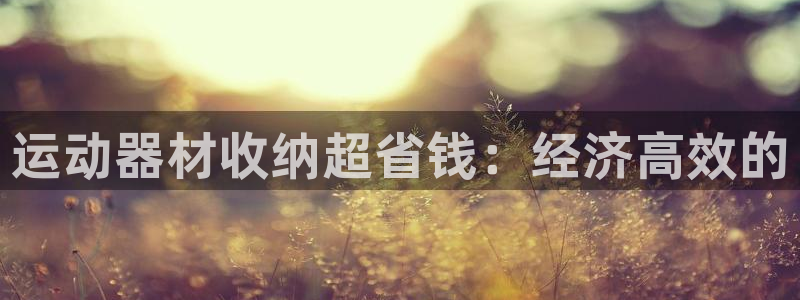 意昂3娱乐是那个系列的台子：运动器材收纳超省钱：经济