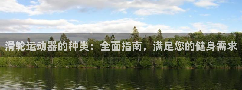 意昂3集团官网首页网址：滑轮运动器的种类：全面指南，