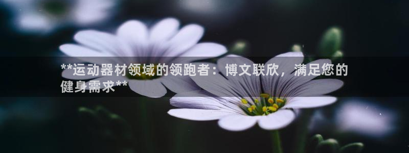 意昂3娱乐首页网站大全：**运动器材领域的领跑者：博