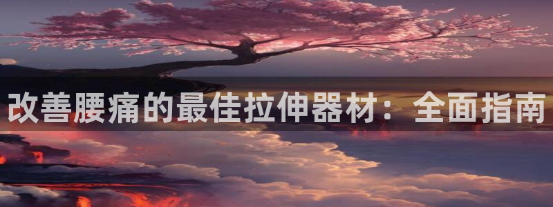 意昂体育3联系电话：改善腰痛的最佳拉伸器材：全面指南