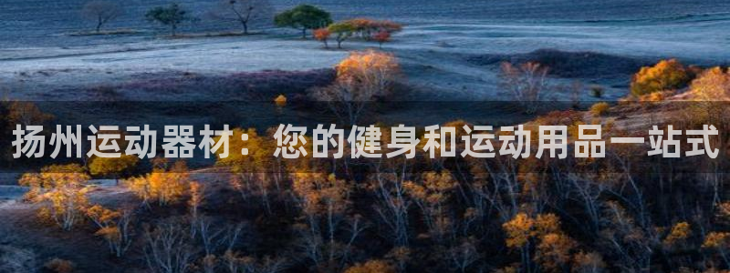 意昂体育3招商电话是多少号码：扬州运动器材：您的健身