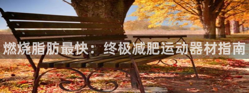 意昂体育3平台注册：燃烧脂肪最快：终极减肥运动器材指