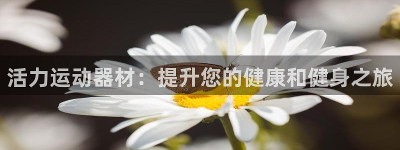 意昂3神州：活力运动器材：提升您的健康和健身之旅