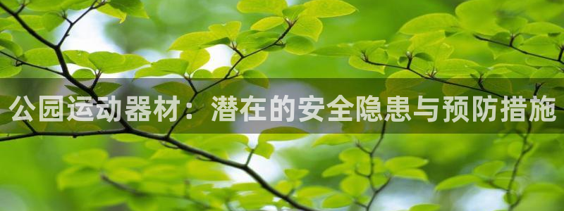 意昂3五金厂：公园运动器材：潜在的安全隐患与预防措施