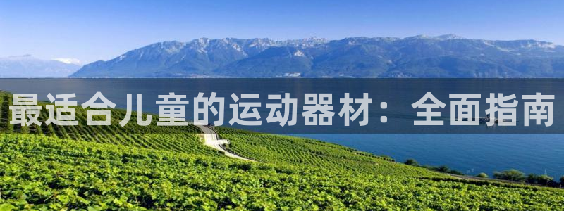 意昂平台体育：最适合儿童的运动器材：全面指南