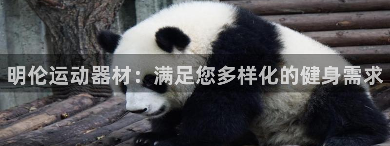 意昂体育3招商电话号码查询是多少：明伦运动器材：满足