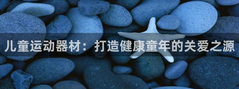 意昂3娱乐40996：儿童运动器材：打造健康童年的关