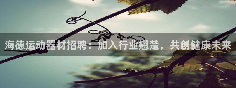 意昂3娱乐40996：海德运动器材招聘：加入行业翘楚