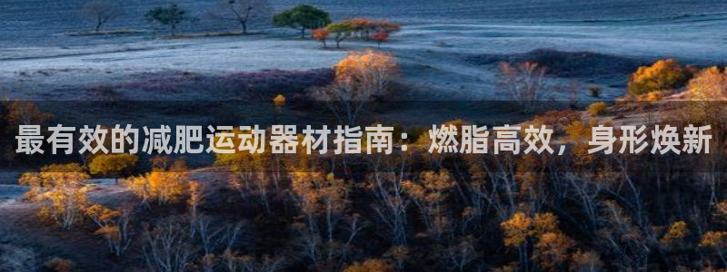 意昂体育3官方客服电话：最有效的减肥运动器材指南：燃