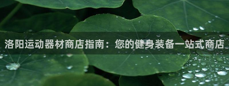 意昂体育3娱乐：洛阳运动器材商店指南：您的健身装备一