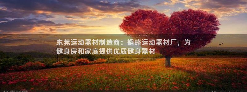 意昂平台体育：东莞运动器材制造商：韬略运动器材厂，为